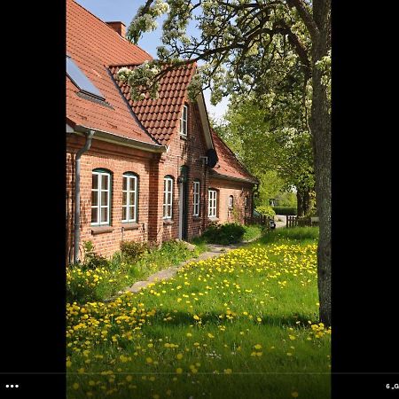 Landhaus Hohenfelde Hohenfelde  Екстериор снимка