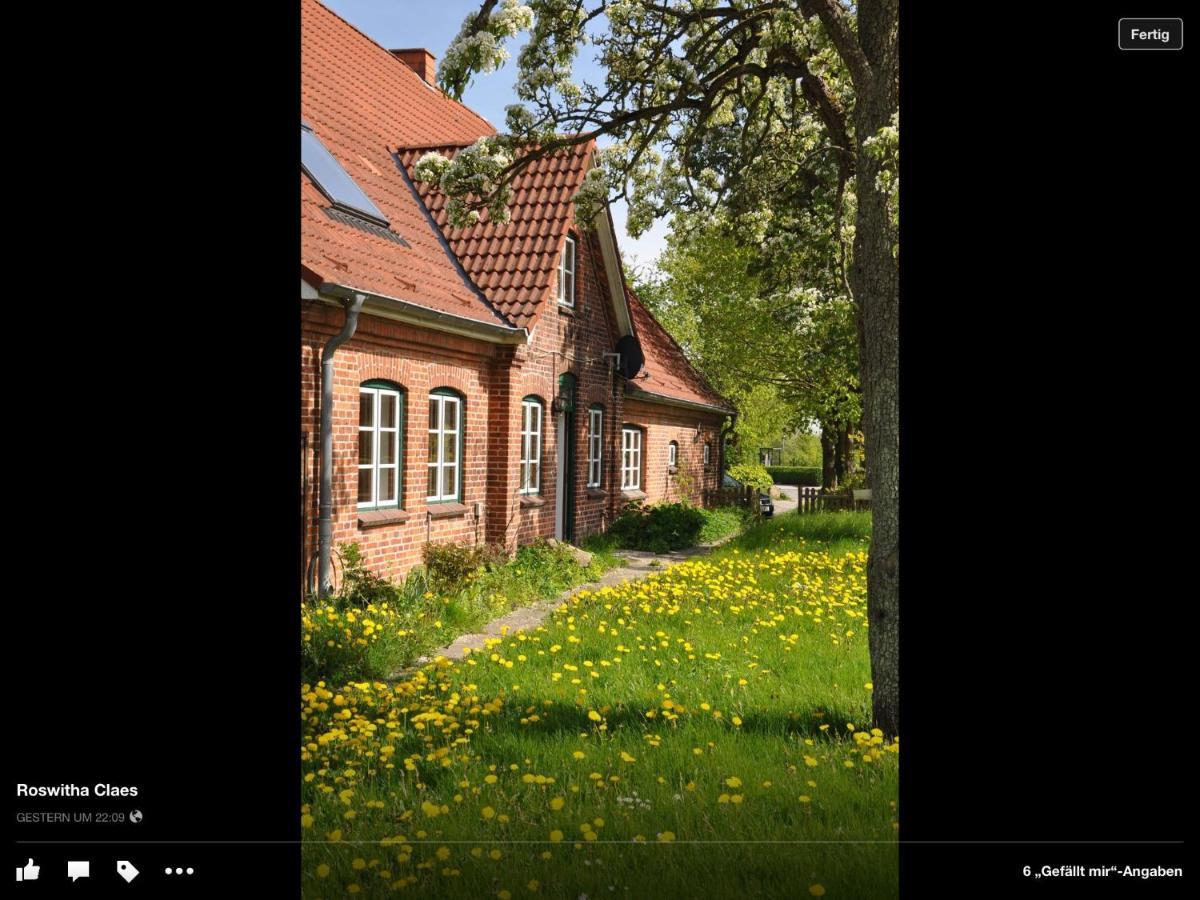 Landhaus Hohenfelde Hohenfelde  Екстериор снимка